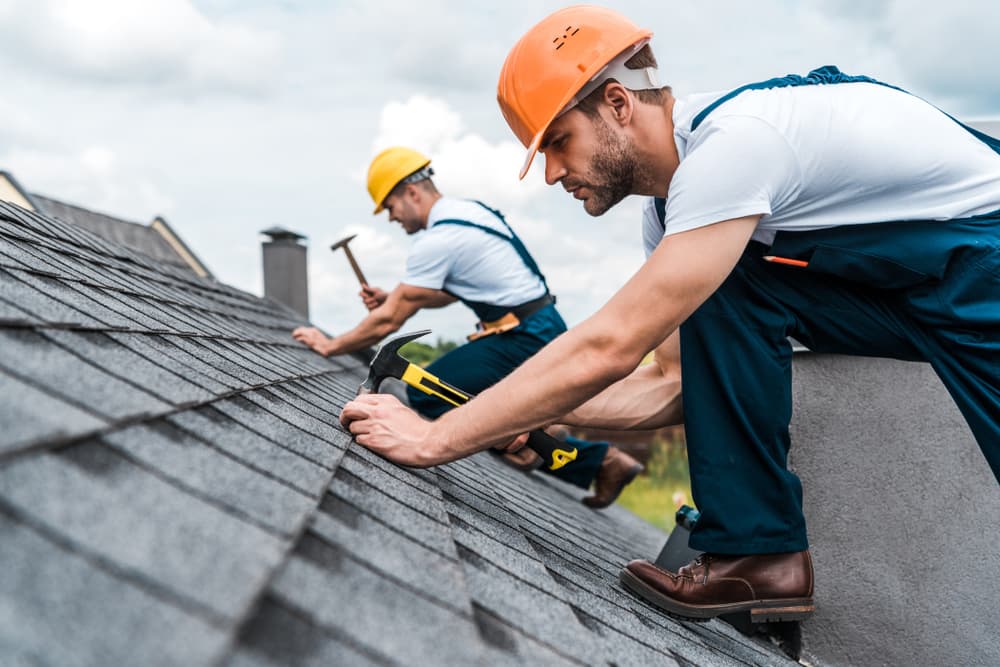 Roof Shingle Replacement Signs Every Homeowner Should Recognize