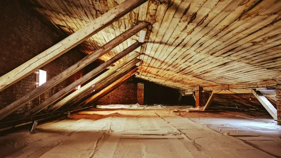 Attic Moisture Problems Silently Destroying Your Home Structure